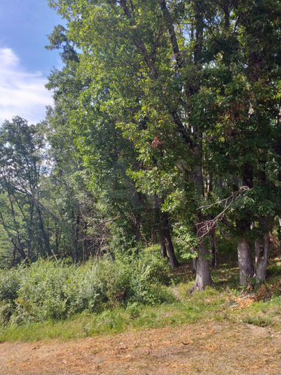 Участок 4 сот. (ИЖС)