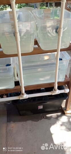 Маточник с малешником для креветок или раков аккр