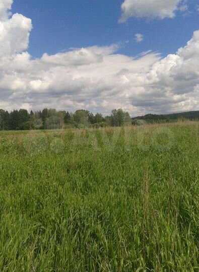 Участок 65 сот. (ИЖС)