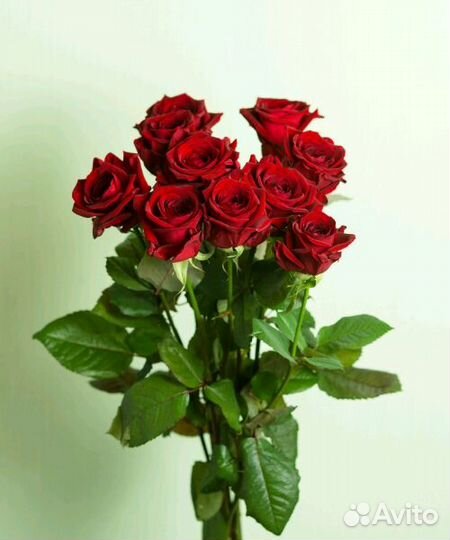 Розы с доставкой на дом г. Выборг