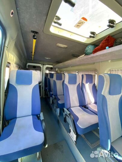 Пассажирские перевозки, трансфер