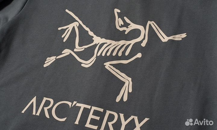 Зип худи Arcteryx