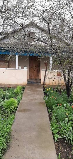 Дом 57 м² на участке 12,8 сот.