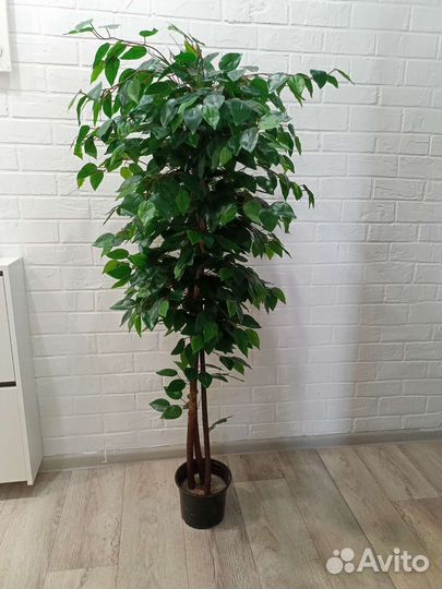 Искусственное дерево. Фикус Бенжамина