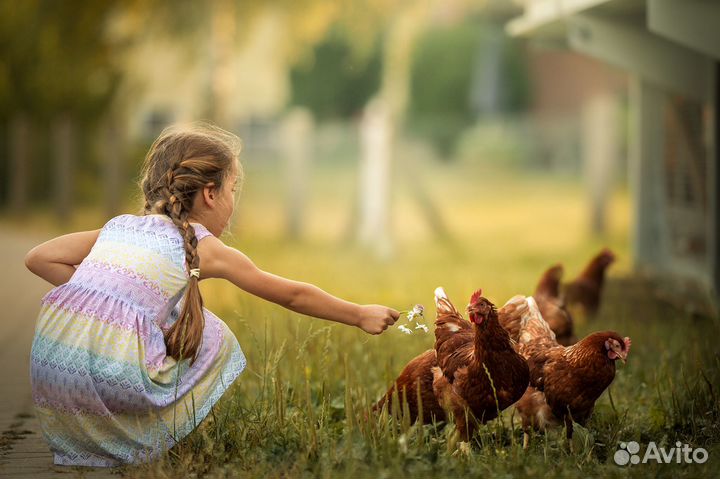 Упаковщик вахта легкая работа
