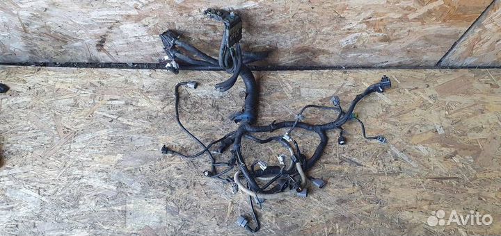 Проводка Nissan Qashqai (J10) 2006-2014