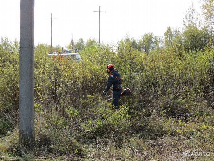 Требуются Разнорабочие