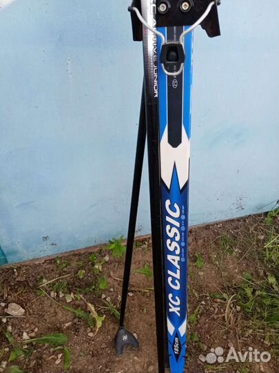 Беговые лыжи