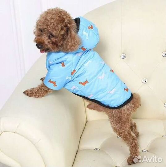 Куртка на собаку