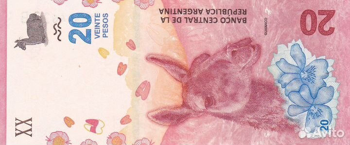 Банкноты Аргентины