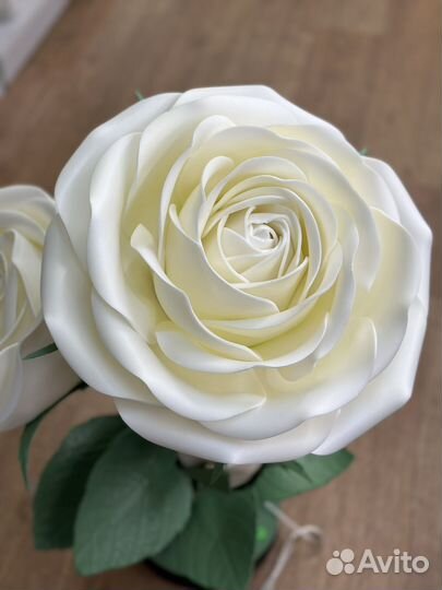 Ночник «Розы»