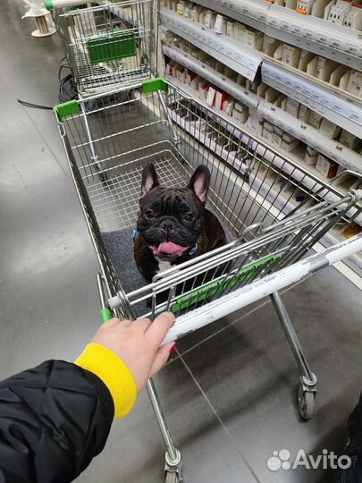 Ищем невесту