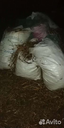 Навоз Бесплатно, самопогрузка, самовывоз