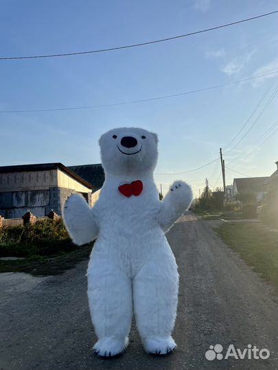Поздравление огромного белого Мишки