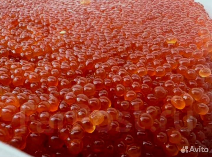 Красная икра оптом