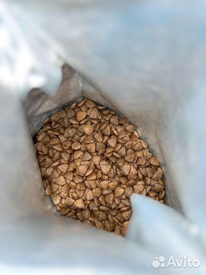 Корм для собак grandin holistic