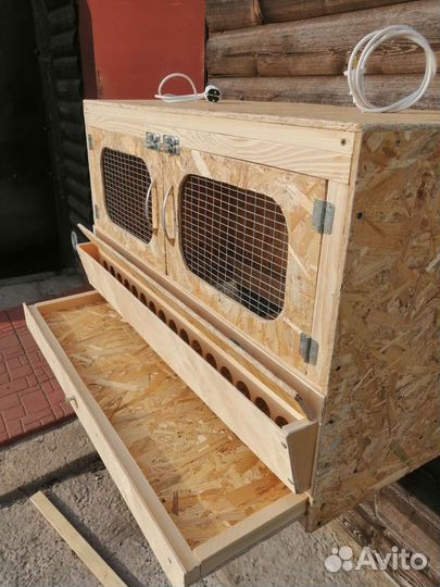 Брудер для цыплят