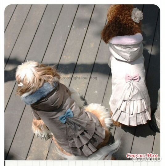 Пальто для собаки