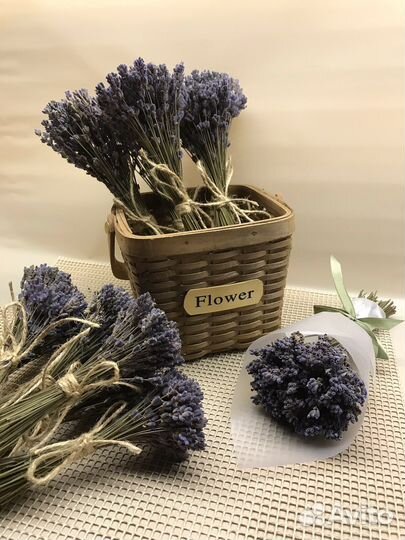 Лаванда сухоцвет букет
