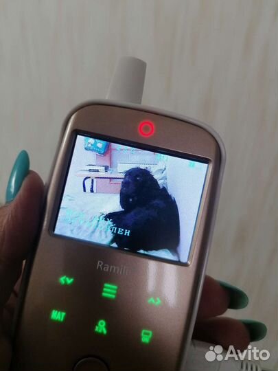 Видео няня Ramili baby rv1200