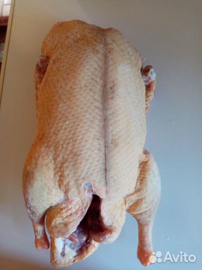 Мясо утки муларда