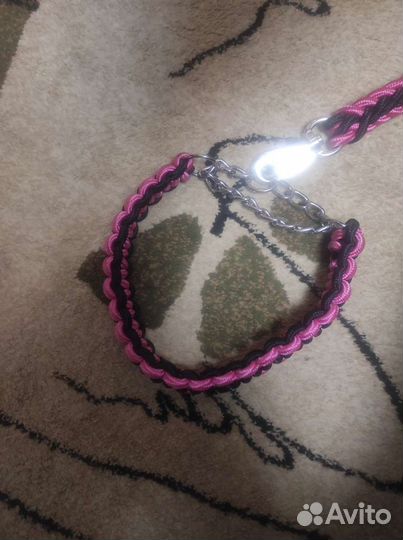 Поводок с ошейником