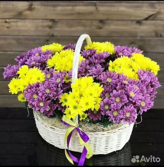 Хризантема