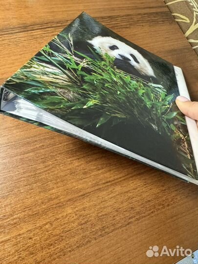 Конспект медицина катастроф для мед колледжа