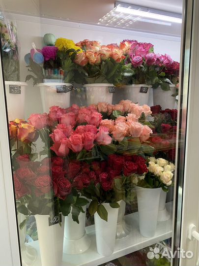 Букеты,цветы,гелиевые шары, 1 сентября