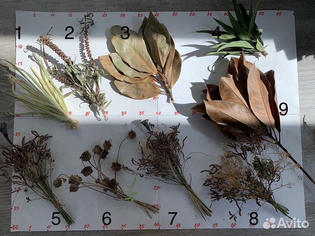 Минибукетики из сухоцветов