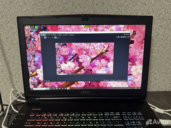 Msi gt72vr dominator