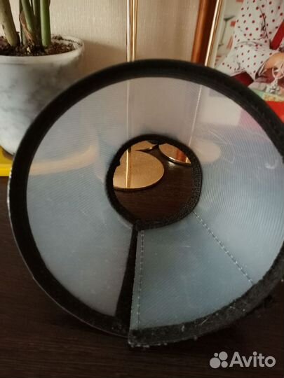 Защитный воротник для кошек