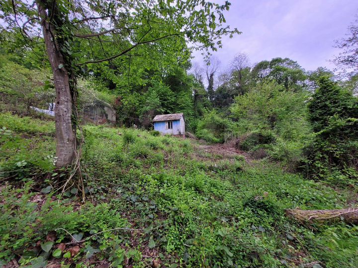 Участок 7,1 сот. (СНТ, ДНП)