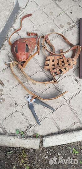 Стойка для кормления собак, намордник, ошейник