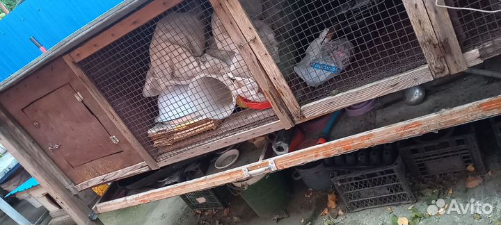 Клетка для птиц