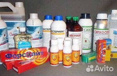 Средства от насекомых, грызунов, вирусов, плесени