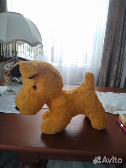 Собака СССР