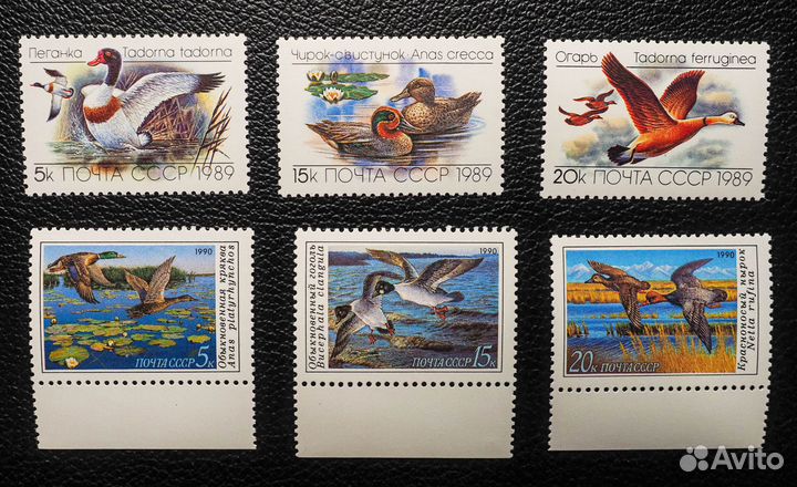 Марки не гашеные фауна 16