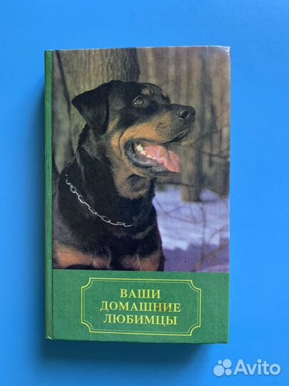 Ваши домашние любимцы