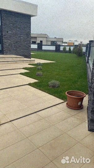 Рулонный газон/продажа/укладка