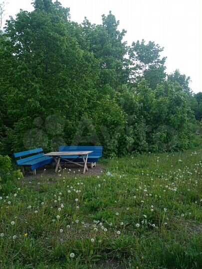 Участок 50 сот. (ИЖС)