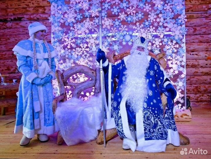 Дед Мороз на Дом