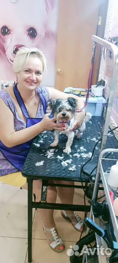 Грумерские услуги