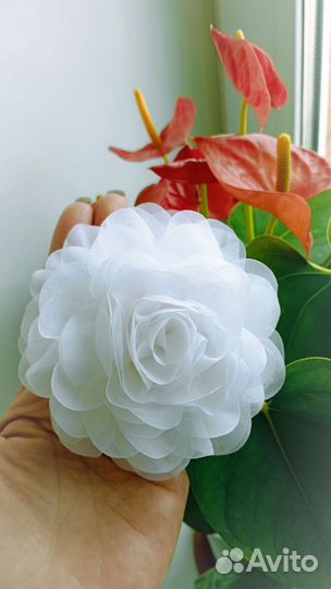 Школьные белые банты