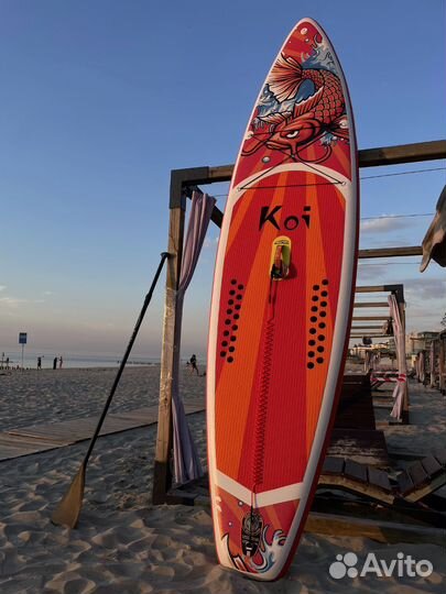 Sup Board Koi 11.6