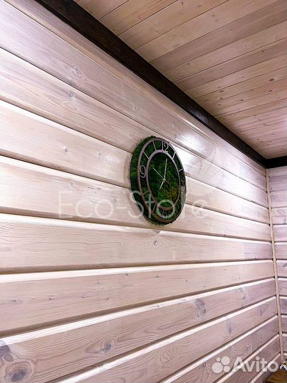 Часы Антара из мха