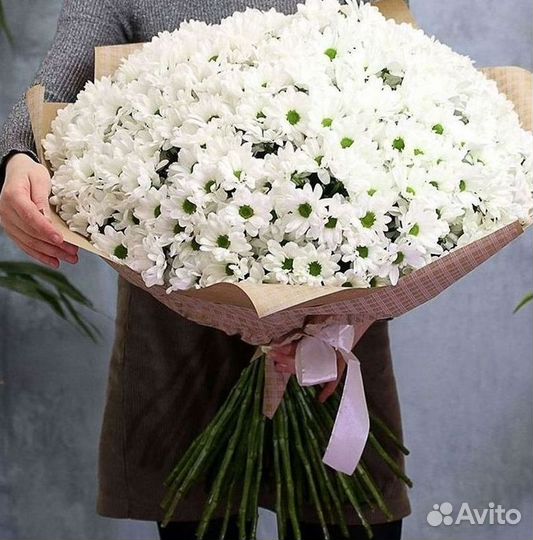 Хризантема Букет хризантем Доставка