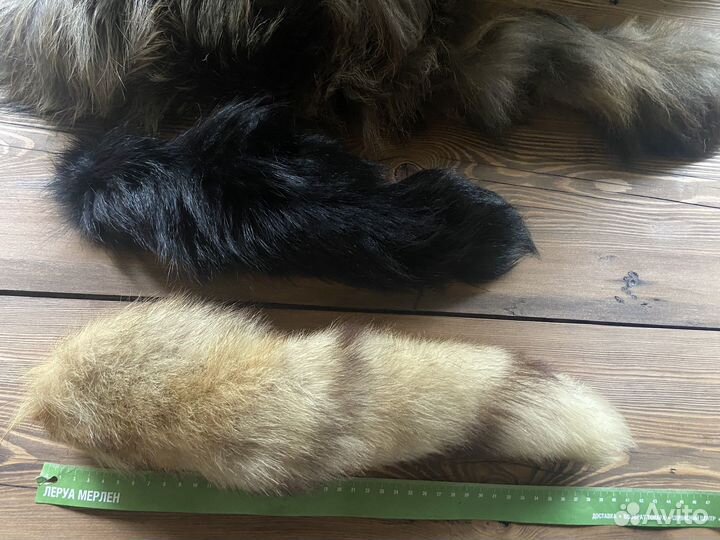 Лисий хвост