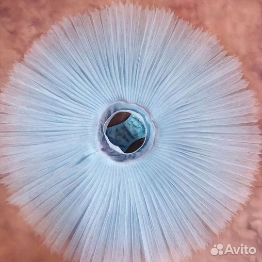 Пошив балетной пачки