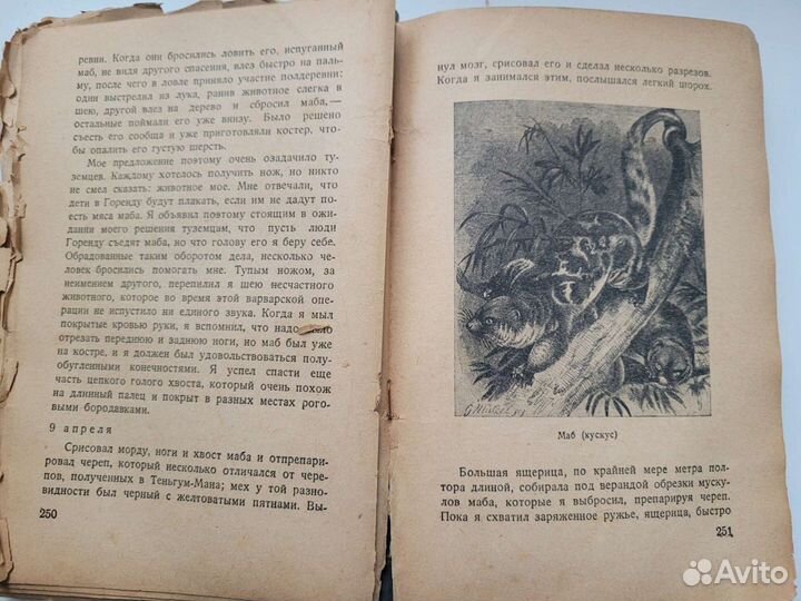 Миклухо-Маклай раритетная книга